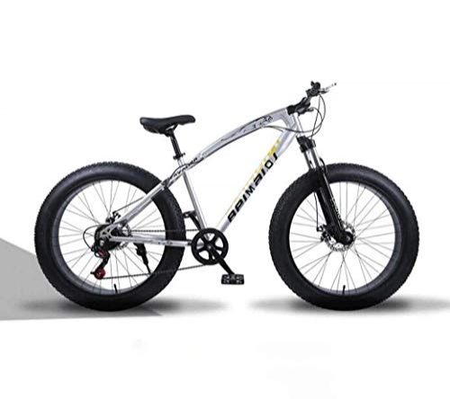 Fat Tyre Mountain Bike : GFF Mountain Bikes, 26 Inch Fat Tire Hardtail Mountain Bike, Dual Suspension Frame And Suspension Fork All Terrain Mountain Bicycle, Men's And Women Adult, 24 speed, Silver spoke