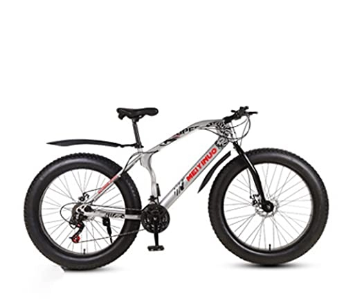 Fat Tyre Mountain Bike : GUHUIHE 26 Inch Double Disc Brake Bicycle 26 * 4.0 Fat Bike Mountain Bike (Color : 3, Number of speeds : 21)