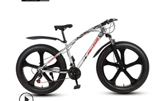 Fat Tyre Mountain Bike : GUIO 26-Inch Double Disc Brake Wide Tire Variable Speed Adult Mountain Bike Fat Bike, 11