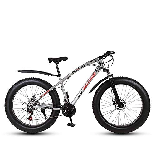 Fat Tyre Mountain Bike : GuoEY 26 Inch Double Disc Brake Wide Tire Off-Road Variable Speed Bicycle Adult Mountain Bike Fat Bikes, Adult Mates Hanging Out Together, A1, 24IN