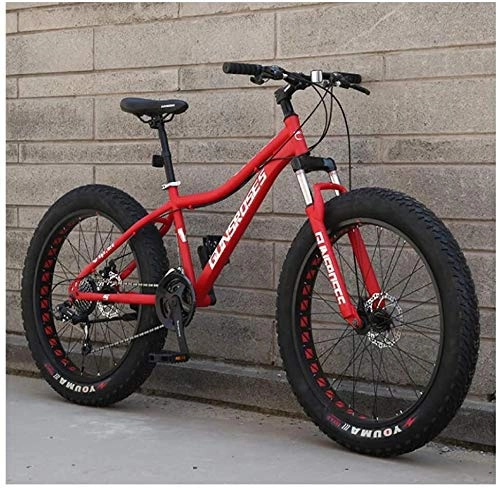Fat Tyre Mountain Bike : H-ei 26 Inch Mountain Bikes, High-carbon Steel Hardtail Mountain Bike, Fat Tire All Terrain Mountain Bike, Women Men's Anti-Slip Bikes (Color : Red, Size : 24 Speed)