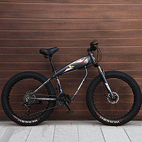 Fat Tyre Mountain Bike : HongLianRiven BMX Mountain Bike Bicycle For Adults, Fat Tire Hardtail MBT Bike, High-Carbon Steel Frame, Dual Disc Brake, 26 Inch Wheels 5-25 (Color : Grey, Size : 21 speed)