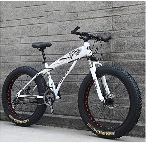 Fat Tyre Mountain Bike : HongTeng Adult Mountain Bikes, Boys Girls Fat Tire Mountain Trail Bike, Dual Disc Brake Hardtail Mountain Bike, High-carbon Steel Frame, Bicycle (Color : White C, Size : 24 Inch 21 Speed)