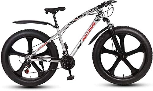 Fat Tyre Mountain Bike : HYCy Adult Mens Fat Tire Mountain Bike, Variable Speed Snow Beach Bikes, Double Disc Brake Cruiser Bicycle, 26 Inch Magnesium Alloy Integrated Wheels