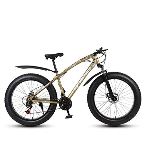 Fat Tyre Mountain Bike : HYCy Mens Adult Fat Tire Mountain Bike, Variable Speed Snow Bikes, Double Disc Brake Beach Bicycle, 26 Inch Wheels Cruiser Bicycles