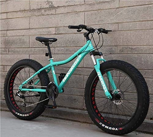 Fat Tyre Mountain Bike : LAMTON Mountain Bikes, 26Inch Fat Tire Hardtail Snowmobile, Dual Suspension Frame And Suspension Fork All Terrain Men's Mountain Bicycle Adult (Color : Green 1, Size : 24Speed)