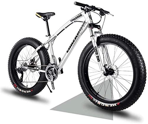 Fat Tyre Mountain Bike : Leifeng Tower Lightweight， Fat Tire Mountain Bike Mens, Beach Bike, Double Disc Brake 20 Inch Cruiser Bikes, 4.0 wide Wheels, Adult Snow Bicycle Inventory clearance (Color : Silver, Size : 7speed)