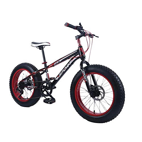 Fat Tyre Mountain Bike : LHQ-HQ Outdoor sports Fat bike, 20 inch 7 speed variable speed snow beach offroad bicycle men's outdoor riding Outdoor sports Mountain Bike (Color : B)