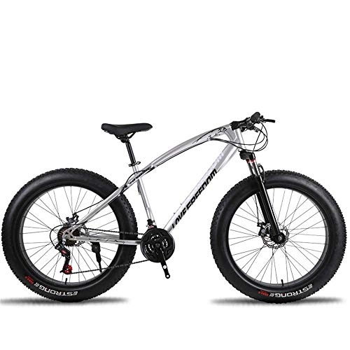 Fat Tyre Mountain Bike : LHQ-HQ Outdoor sports Fat Bike, 26 inch cross country mountain bike 7 speed beach snow mountain 4.0 big tires adult outdoor riding (Color : Silver)