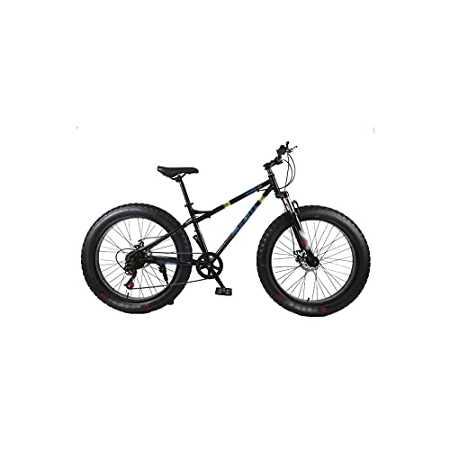 Fat Tyre Mountain Bike : Liangsujian Mountain Bike 4.0 Fat Tire Mountain Bicycle High Carbon Steel Beach Bicycle Snow Bike (Color : Black)