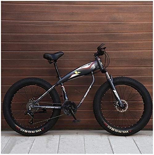Fat Tyre Mountain Bike : LQH 26 inches mountain bike, a mountain bike tire adult fat, mechanical disc brakes, the front bicycle suspension Men Women (Color : Grey Spokes, Size : 27 Speed)