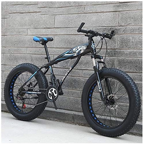 Fat Tyre Mountain Bike : Lyyy Adult Mountain Bikes, Boys Girls Fat Tire Mountain Trail Bike, Dual Disc Brake Hardtail Mountain Bike, High-carbon Steel Frame, Bicycle YCHAOYUE (Color : Blue C, Size : 26 Inch 27 Speed)