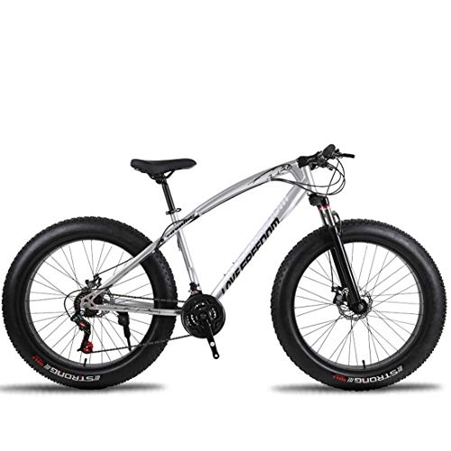 Fat Tyre Mountain Bike : MICAKO Mountain Bike 21 / 24 / 27 Speed Steel Frame, 26 Inches Dual Disc Brake Bicycle-5 colors MTB, Silver, 27speed