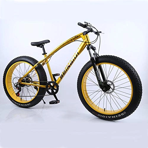 Fat Tyre Mountain Bike : Mountain bike 4.0 fat tire bicycle Double disc brake beach bicycle snow bike light high carbon steel mountain bicycle-gold_24 speed 24 inch_Poland