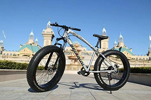 Fat Tyre Mountain Bike : Mountain bike 4.0 fat tire bicycle Double disc brake beach bicycle snow bike light high carbon steel mountain bicycle-Silver_21 speed 24 inch_China