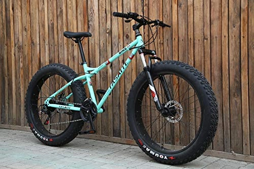 Fat Tyre Mountain Bike : Mountain bike 4.0 fat tire mountain bike 24 / 26 inch high carbon steel ATV snowmobile-24 inch green_27 speed_Spain