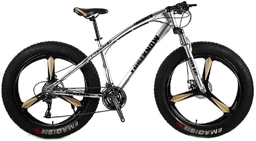 Fat Tyre Mountain Bike : Mountain Bike, Mountain Bike Folding Bike Bicycle MTB Adult Big Tire Beach Snowmobile Bicycles Mountain Bike For Men And Women 26IN Wheels Adjustable Speed Double Disc Brake (Color : Gray, Size : 27 s