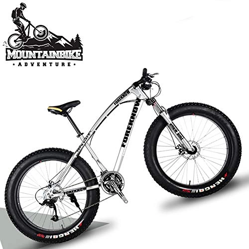 Fat Tyre Mountain Bike : NENGGE 20 Inch Hardtail Mountain Bike with Front Suspension & Mechanical Disc Brakes for Women, Off-Road Fat Tire Mountain Bicycle Adjustable Seat in 8 Colors, Anti-Slip Bikes, Silver, 21 Speed