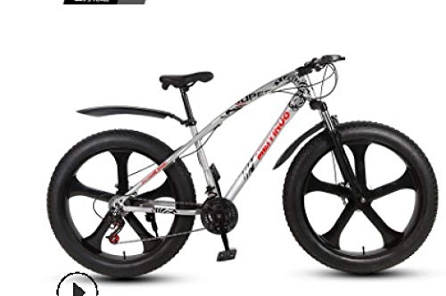Fat Tyre Mountain Bike : peipei 26 inch double disc brake wide tire variable speed adult mountain bike fat bike-11_twenty one
