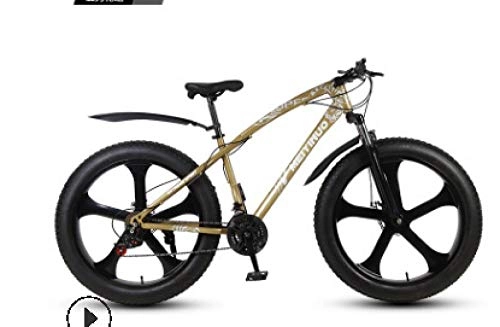 Fat Tyre Mountain Bike : peipei 26 inch double disc brake wide tire variable speed adult mountain bike fat bike-15_twenty one