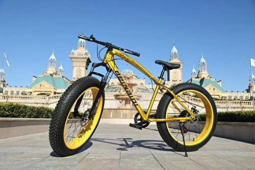 Fat Tyre Mountain Bike : peipei 26 Inch Wheel Adult Mountain Fat Bike 24 / 27 / 30 Speed Road Bicycle Men Front And Rear Mechanical Disc Brakes Steel Frame Ride-Gold_26 inch (160-195cm)_27 Speed