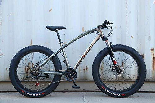 Fat Tyre Mountain Bike : peipei 26 Inch Wheel Adult Mountain Fat Bike 24 / 27 / 30 Speed Road Bicycle Men Front And Rear Mechanical Disc Brakes Steel Frame Ride-Gray_26 inch (160-195cm)_27 Speed