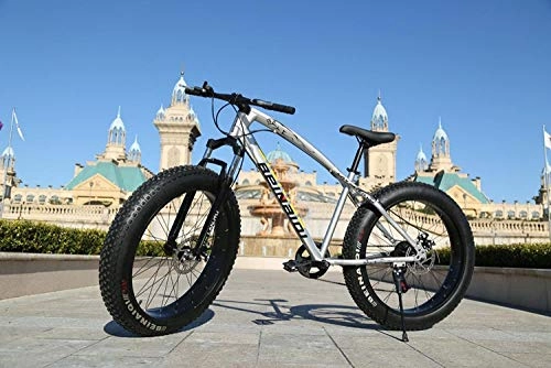 Fat Tyre Mountain Bike : peipei 26 Inch Wheel Adult Mountain Fat Bike 24 / 27 / 30 Speed Road Bicycle Men Front And Rear Mechanical Disc Brakes Steel Frame Ride-Silver_26 inch (160-195cm)_27 Speed