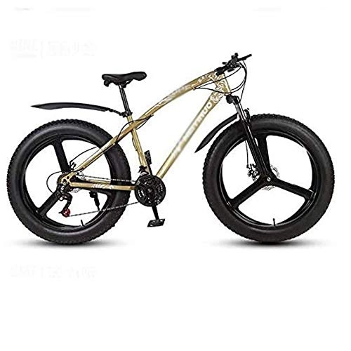 Fat Tyre Mountain Bike : Qinmo 26-inch fat tire mountain bike, adult male and female mountain bike, 21-27 speed shift, high carbon steel frame, mechanical disc brake (Color : D, Size : 21 speed)