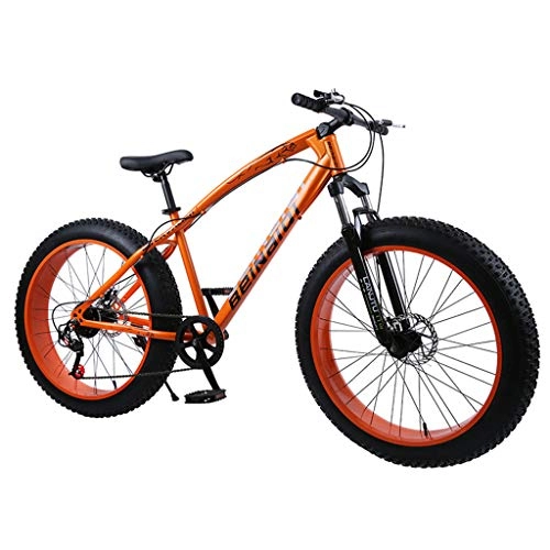 Fat Tyre Mountain Bike : QJ Mountain Bike Bicycle Male And Female Students Road Speed Double Shock Disc Brakes Adult Bicycle, 30Speed, 26in