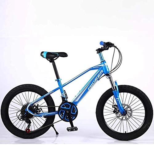 Fat Tyre Mountain Bike : QZ Child Fat Tire Mountain Bike, Beach Snow Bike, Juvenile Student City Road Racing Bike, Lightweight High-Carbon Steel Frame Bicycle 20 Inch Wheels 21 speed (Color : Blue)
