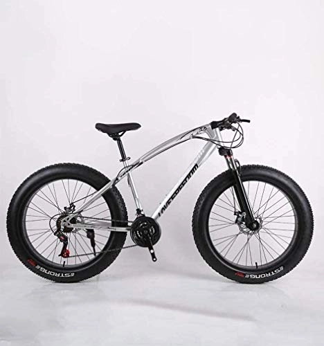 Fat Tyre Mountain Bike : QZ Fat Tire Adult Mountain Bike, High-Carbon Steel Frame Cruiser Bikes, Beach Snowmobile Bicycle, Double Disc Brake 26 Inch Wheels (Color : Silver, Size : 27 speed)