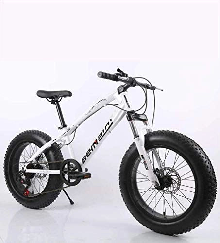 Fat Tyre Mountain Bike : QZ Fat Tire Mens Mountain Bike, Double Disc Brake / High-Carbon Steel Frame Bikes, 7 Speed, Beach Snowmobile Bicycle 20 inch Wheels, Colour:E (Color : A)