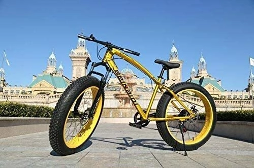 Fat Tyre Mountain Bike : QZ Hardtail Mountain Bikes, Dual Disc Brake Fat Tire Cruiser Bike, High-Carbon Steel Frame, Adjustable Seat Bicycle 26 inch 21 speed (Color : Gold, Size : 26 inch 21 speed)
