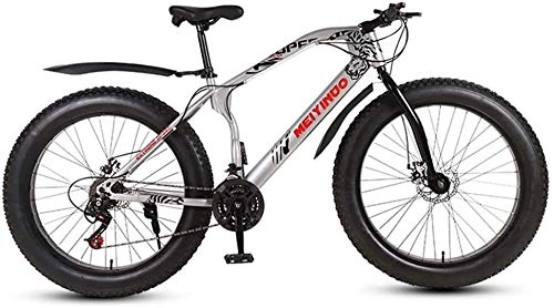 Fat Tyre Mountain Bike : QZ Mens Adult Fat Tire Mountain Bike, Bionic Front Fork Cruiser Bicycle, Double Disc Brake Beach Snow Bikes, 26 Inch Wheels (Color : B, Size : 21 speed)