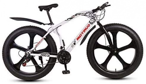 Fat Tyre Mountain Bike : QZ Mountain Bike Bicycle, 26 Inch Wheels Fat Tire MTB Bike Hardtail, High-Carbon Steel Frame, Dual Disc Brake (Color : B, Size : 24 speed)