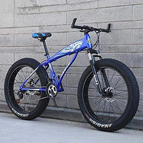 Fat Tyre Mountain Bike : QZ Mountain Bike Bicycle For Adults Men Women, Fat Tire MBT Bike, Hardtail High-Carbon Steel Frame And Shock-Absorbing Front Fork, Dual Disc Brake (Color : C, Size : 26 inch 24 speed)