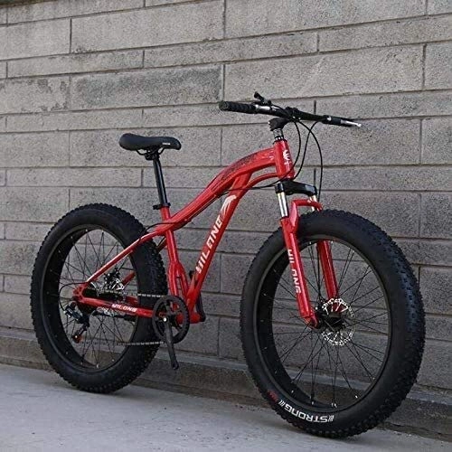 Fat Tyre Mountain Bike : QZ Mountain Bikes, Fat Tire Hardtail High Carbon Steel Frame Mountain Bicycle, Spring Suspension Fork Mountain Bike, Double Disc Brake (Color : D, Size : 26inch 24 speed)