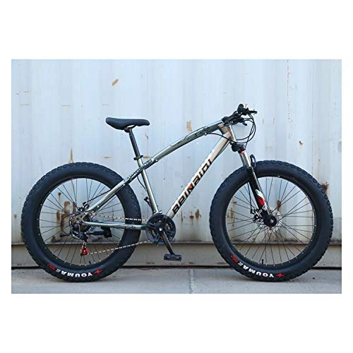 Fat Tyre Mountain Bike : RHSMW Snowmobile, Widen Big Tire Variable Speed Fat Tire Car Damping Mountain Bike Adjustable Seat of Bicycles Help To Ride Better, K, 7 speed