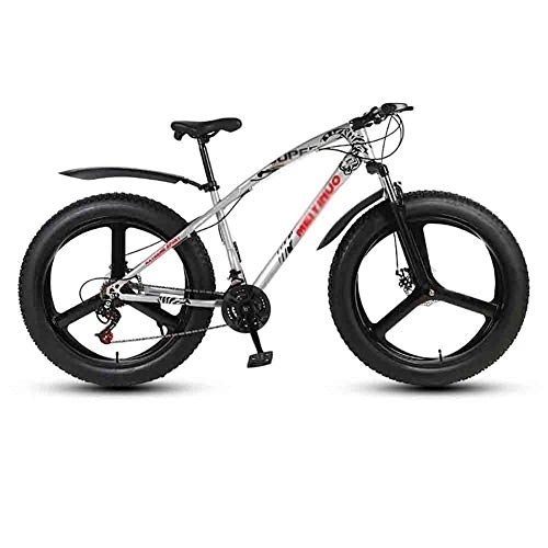 Fat Tyre Mountain Bike : Road Bikes Bicycle MTB Adult Mountain Bikes Beach Bike Snowmobile Bicycles For Men And Women 26IN Wheels Double Disc Brake Off-road Bike (Color : Gray, Size : 24 speed)
