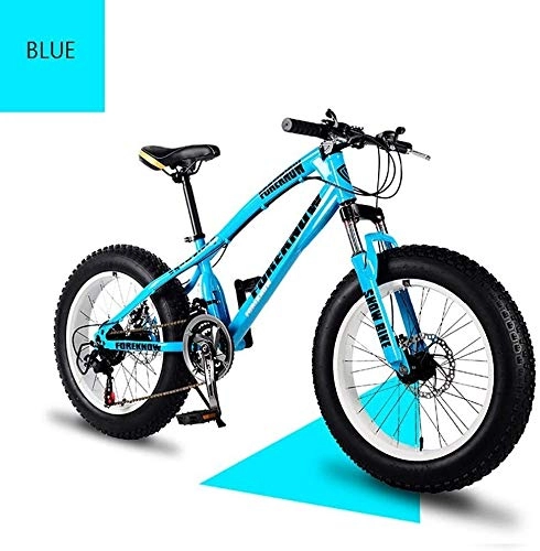 Fat Tyre Mountain Bike : Senior Rider- High Grade Style 'Snow Bike Cycle Fat Tyre, 26 / 24 Inch Double Disc Brake Mountain Snow Beach Fat Tire Variable Speed Bicycle, Blue, 26", Free Wall-mounted Hook 2 PCS