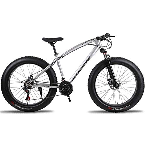 Fat Tyre Mountain Bike : Ti-Fa Fat Bike 26" mountain Bike for adults High-carbon Steel Frame Double Disc Brake Suspension Fork Rear Suspension Anti-Slip for city beach or the snow, Silver, 21 speed