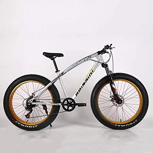 Fat Tyre Mountain Bike : VANYA Adult Mountain Bike 26 Inch 21 Speed Disc Brake Snowmobile Damping 4.0 Thick Wide Tire Off-Road Beach Bicycle, Silver
