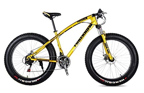 Fat Tyre Mountain Bike : WANG-L 20 / 24 / 26 Inch Mountain Bikes Double Disc Brake Variable Speed 4.0 Fat Tire Snowfield Beach MTB Bicycle, Gold-24inch / 21speed