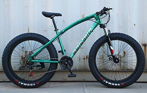 Fat Tyre Mountain Bike : WANG-L 24 / 26 Inch Mountain Bikes Snowmobile 4.0 Widened Big Tire Variable Speed Fat Tire Bike Shock Absorption ATV MTB Bicycle, Green2-26inch / 27speed