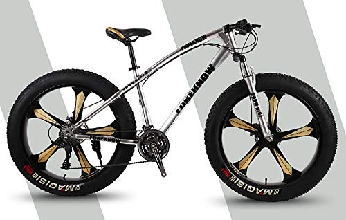 Fat Tyre Mountain Bike : WANG-L 26 Inch Mountain Bikes For Men Women 4.0 Fat Tire Double Disc Brake Variable Speed Snowfield Beach MTB Bicycle, Silver-26inch / 21speed
