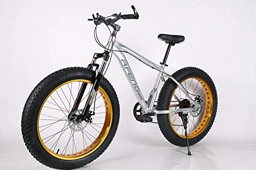 Fat Tyre Mountain Bike : WJH 26-inch Mountain Bike, 7 / 21 / 24 / 27 Speed, Double Disc Brake Pads, Large Gear Pressure Plate, Variable Speed Male and Female City Bike, Silver, 26 inches21 speed
