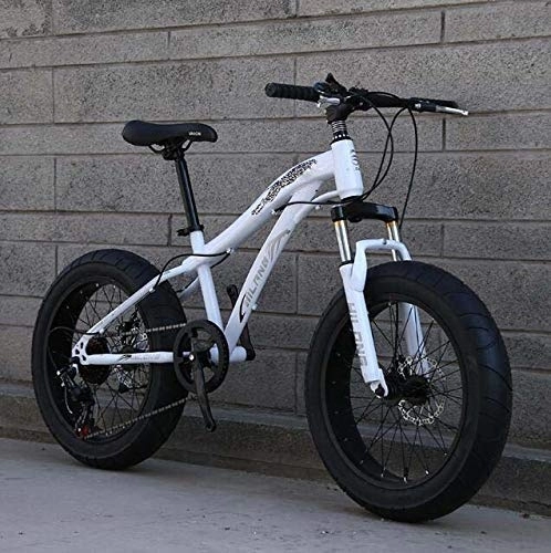 Fat Tyre Mountain Bike : WJSW Fat Tire Bike Bicycle, Mountain Bike for Adults And Teenagers with Disc Brakes And Spring Suspension Fork, High Carbon Steel Frame