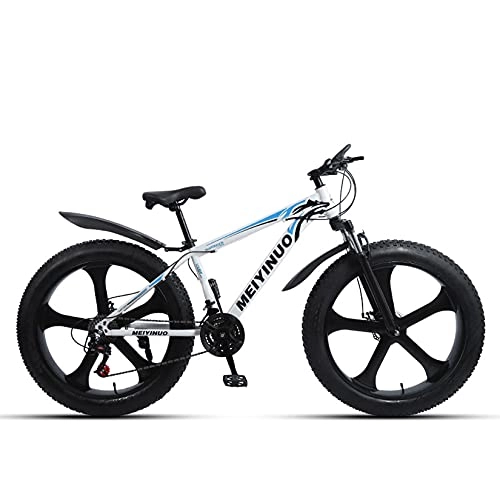 Fat Tyre Mountain Bike : WLWLEO 26 Inch Mountain Bike for Adult Teen, Hard Tail Mountain Bicycle, Carbon Steel Frame, Double Disc Brake, Fat Tire Beach Snow Offroad Bike, A, 21 speed