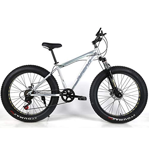 Fat Tyre Mountain Bike : YOUSR Dirtbike Mountainbike Disc Brake MTB Hardtail With full suspension for men and women Silver 26 inch 21 speed