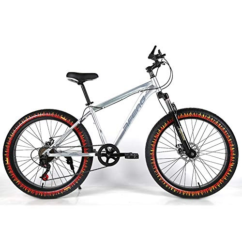 Fat Tyre Mountain Bike : YOUSR Hardtail MTB Hardtail MTB Hardtail 20 Inch for men and women Silver 26 inch 7 speed